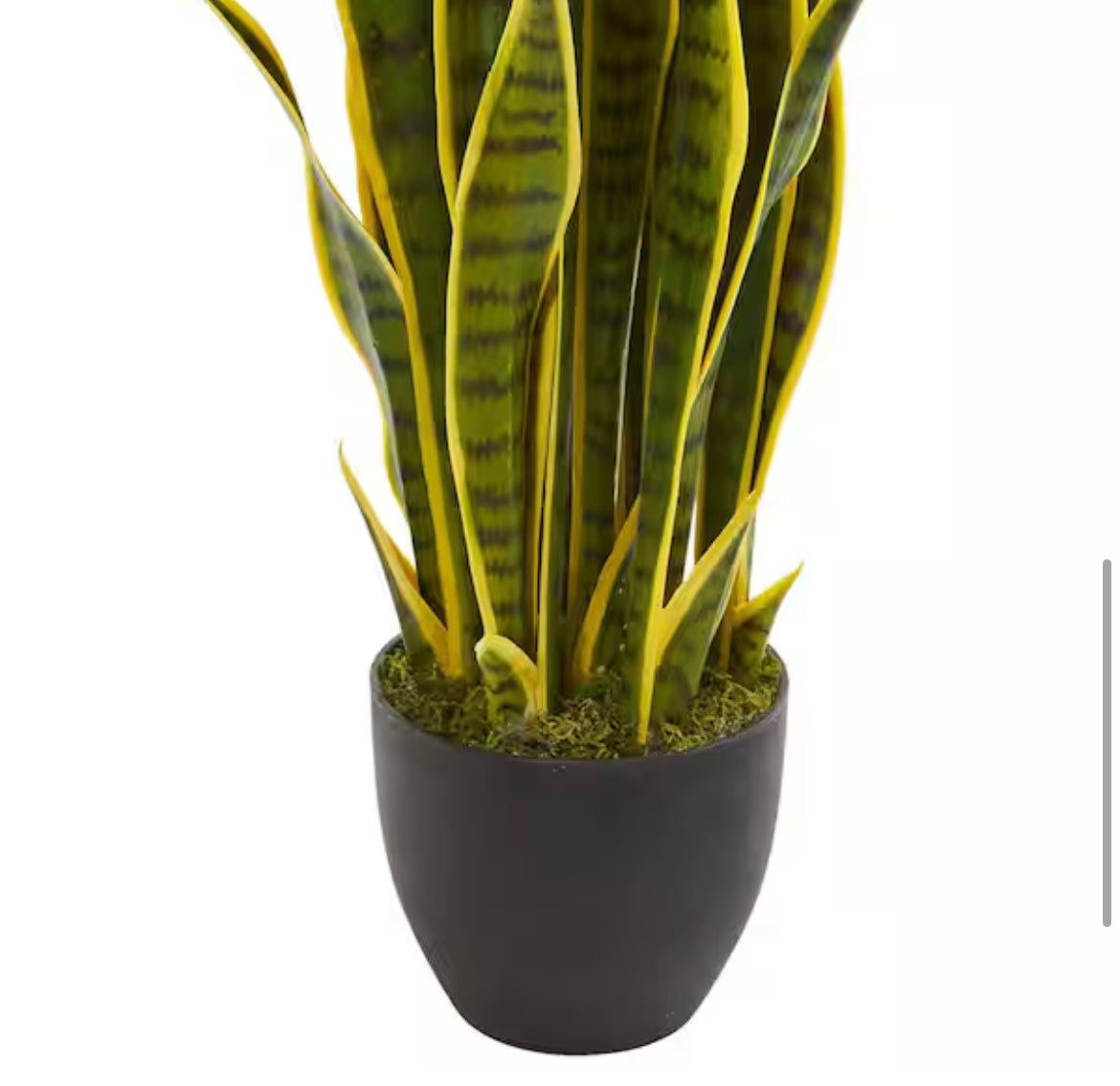 Nearly Natural
Indoor 33 in. Sansevieria Artificial Plant