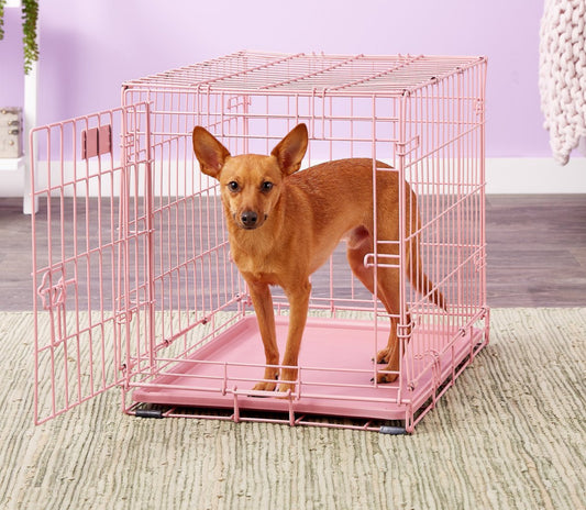 Pink fold and carry dog crate