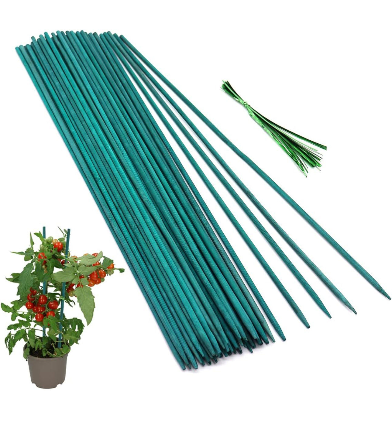 50 Pcs Plant Sticks Green Plant Stakes, Plant Support Garden Stakes fo ...