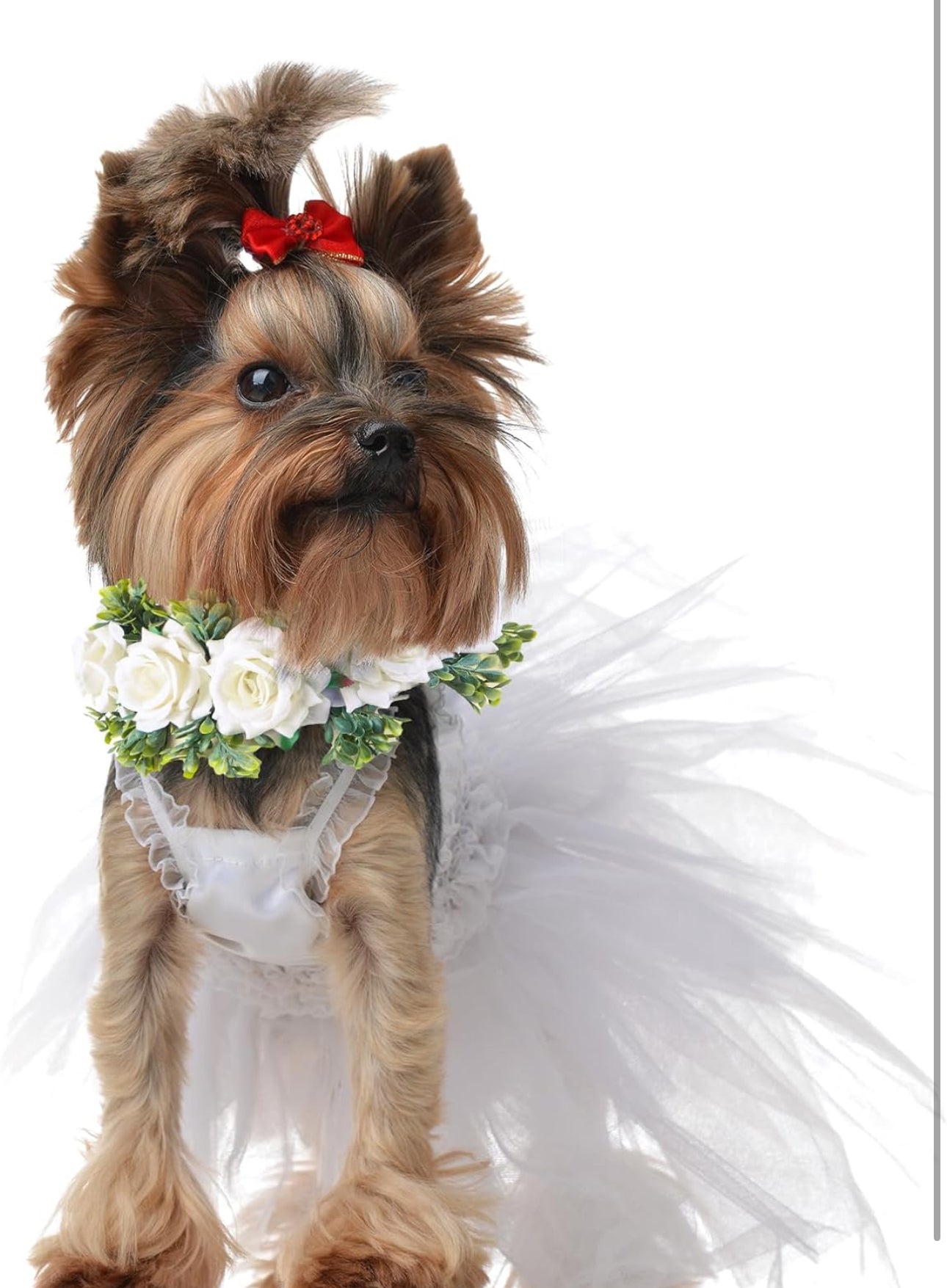 Honoson Dog Wedding Flower Collar Dog Wedding Attire Wreath Bow, for Weddings Flower Ring Pets Cats and Dog, Pet Photo Prop (Medium, White, Elegant)