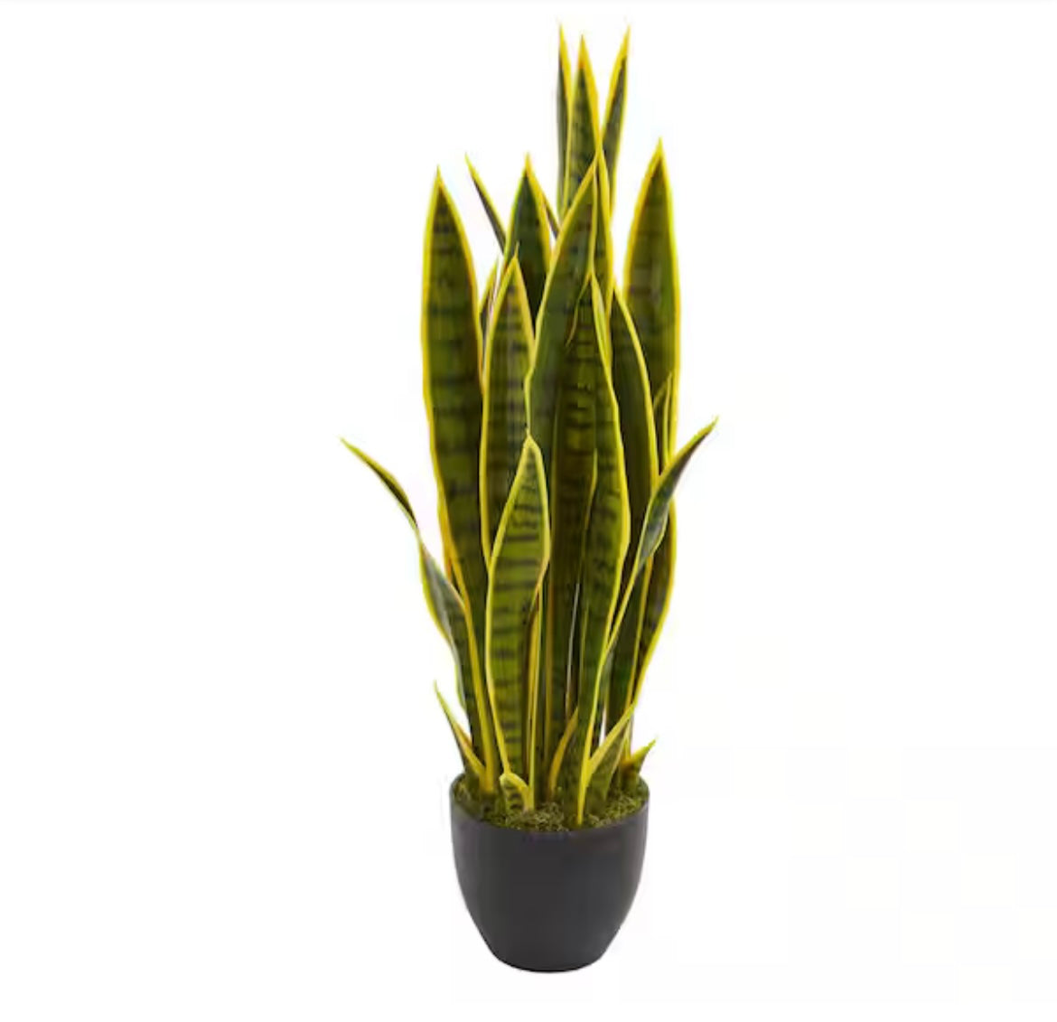 Nearly Natural
Indoor 33 in. Sansevieria Artificial Plant