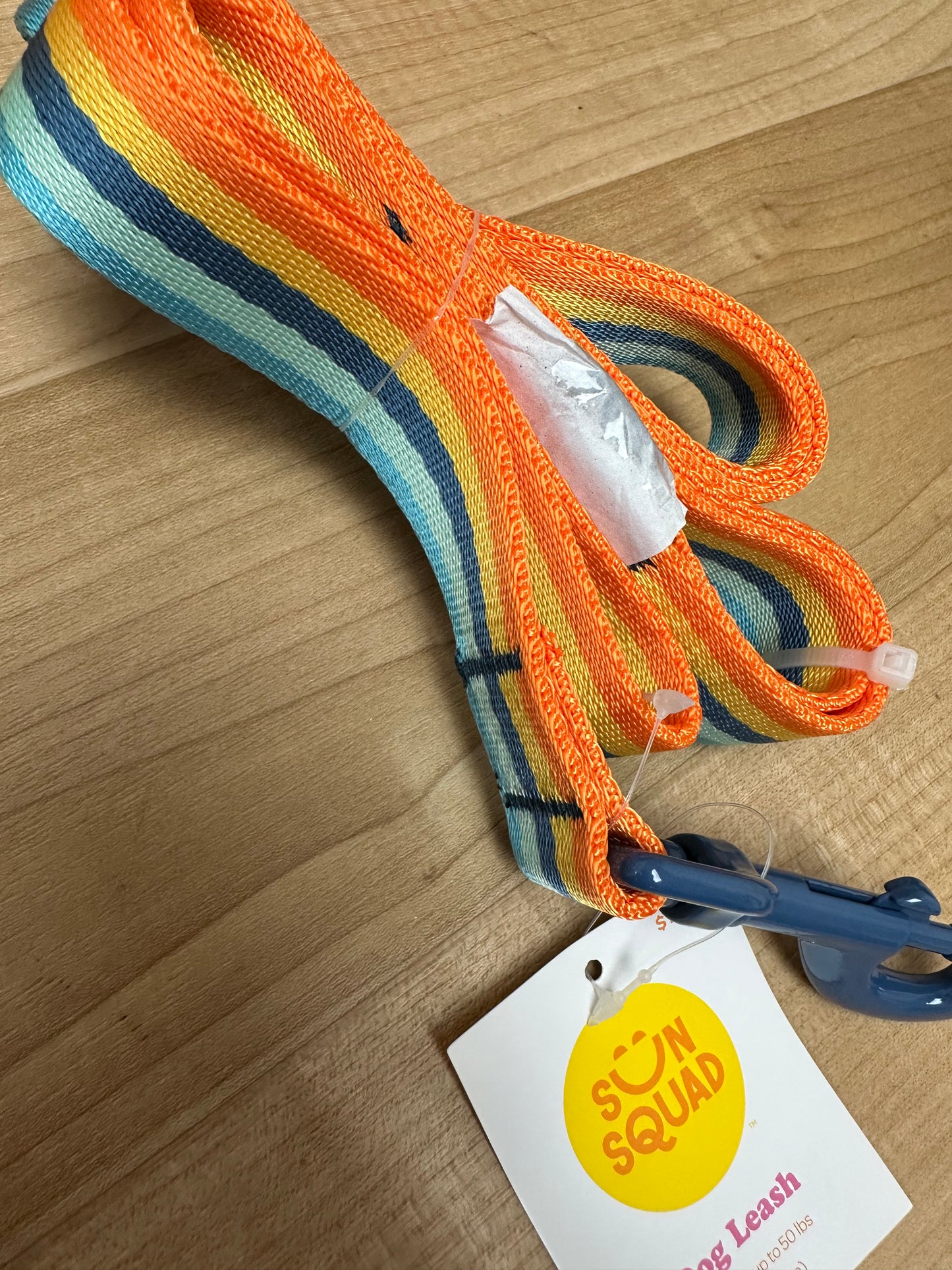 Sun Squad multicolored Dog Leash 5’ long