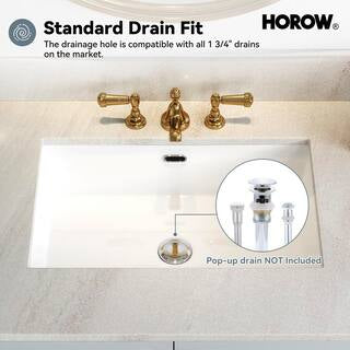 HOROW 23-5/8 in.Rectangle Undermount Bathroom Sink in White with Overflow Drain