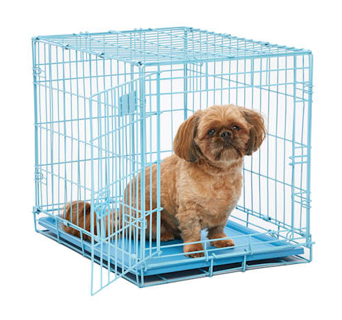 Blue fold and carry dog crate