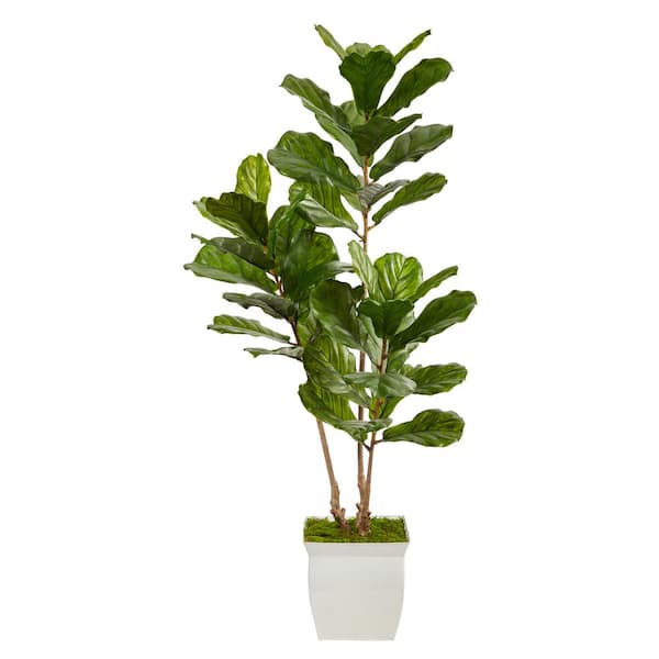 Nearly Natural 5.5 ft. Indoor/Outdoor Fiddle Leaf Artificial Tree in White Metal Planter UV Resistant